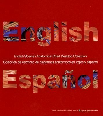 English Spanish Anatomical Chart Desktop Collection Coleccion de 