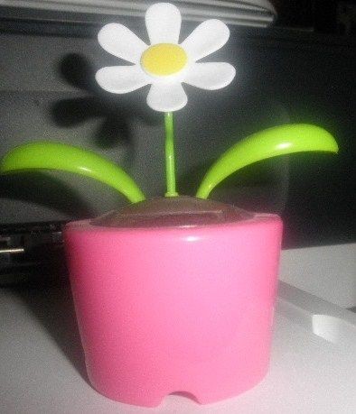 Pink Solar Power Dancing Daisy Flower Moves in Light