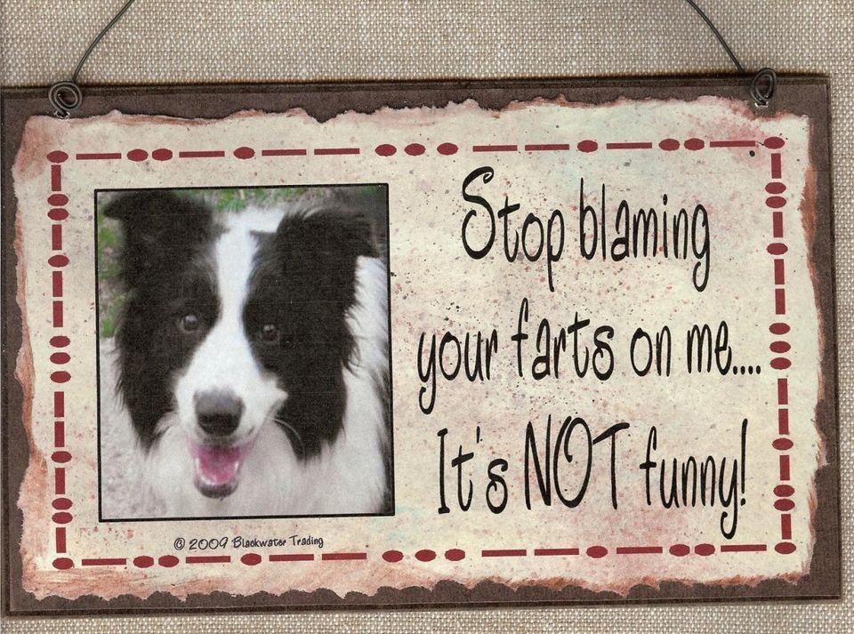 BORDER COLLIE STOP BLAMING YOUR FARTS ON ME DOG SIGN FUNNY FART GAS 