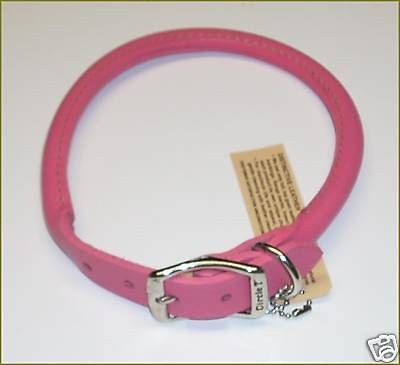 leather dog collar in Leather Collars