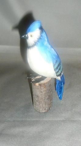 Realistic Blue Jay Bird Real Feather Taxidermy Replica