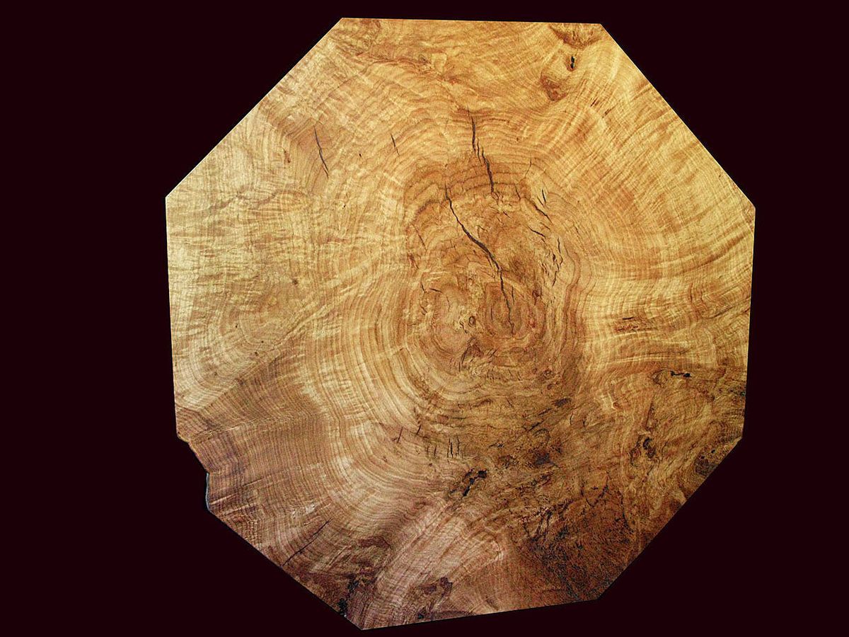 California Black Oak Burl Table Slab Air Dried 10 Years