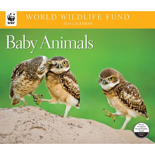 Baby Animals WWF 2013 Deluxe Wall Calendar