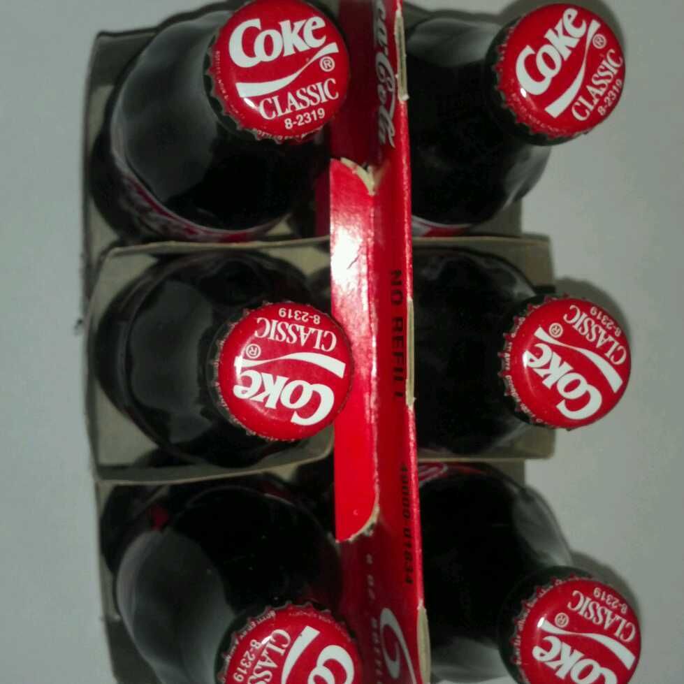 Coca Cola 3 Dale Earnhardt 6 Pack 8 oz Bottles Racing Family Case 1999