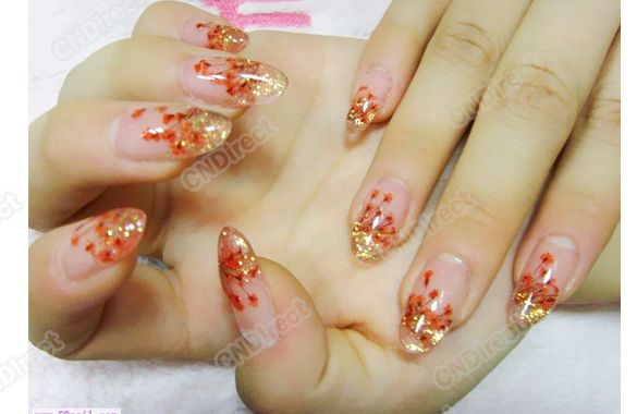 12 Colors Real Dry Dried Flower Nail art Tips Decoration DIY