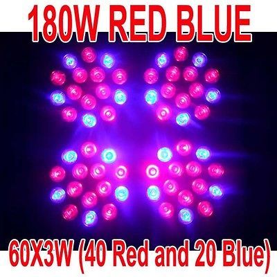 180W LED RED BLUE Hydroponic Grow Plant Light 3W Lamp Veg Flower